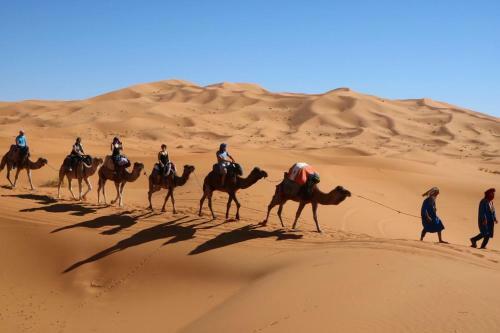 Berber & Camel Trek