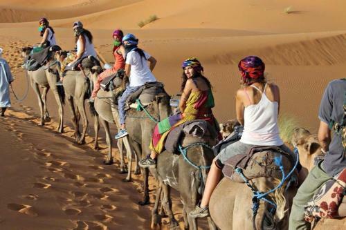 Berber & Camel Trek