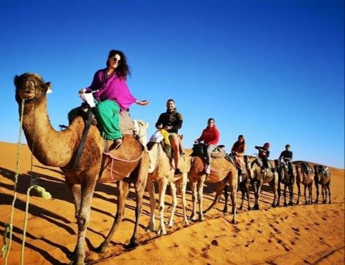 Berber & Camel Trek