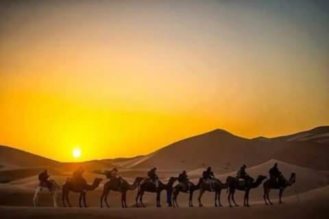 Merzouga & Camel Trekking Camp