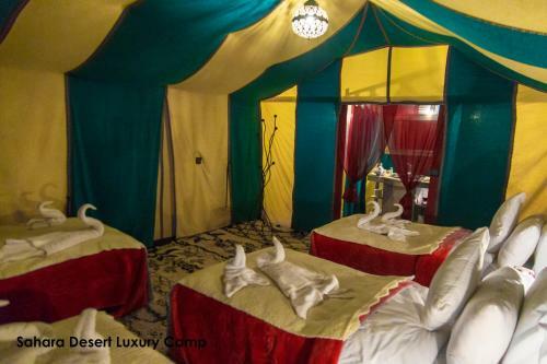 Sahara Desert Luxury Camp