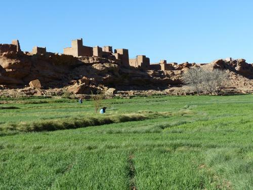 Posada Auberge Amazigh