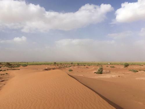 Agroturismo Camp Desert Stars