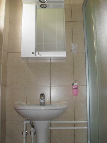 Apartamento Guest House Baranin Pitomine