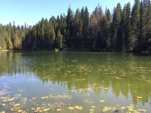 Hostal Rooms & Apartments Durmitor