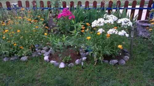 Hostal Rooms & Apartments Durmitor