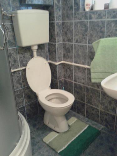 Hostal Apartmani Sobe Sljivancanin