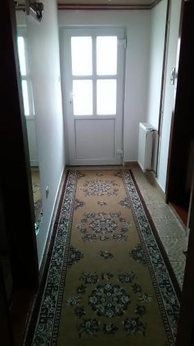 Apartment Bo?ica