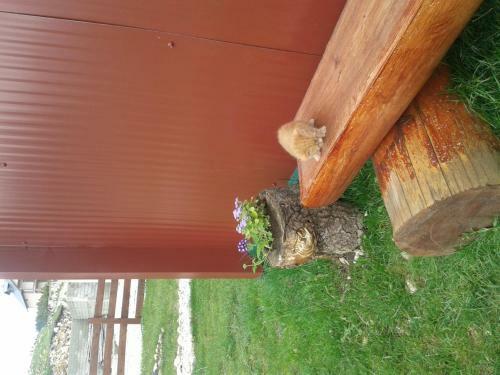 Agroturismo Boskovica Brvnare