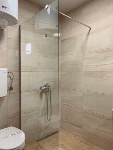Hostal Apartments "old House Pajovic"