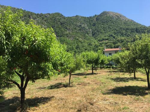 Agroturismo Village House Tea