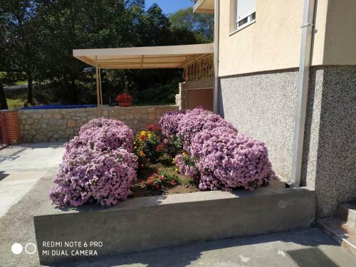 Hostal Cicvaric Rooms