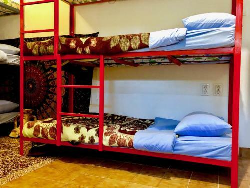 Namaste Hostel & Camping