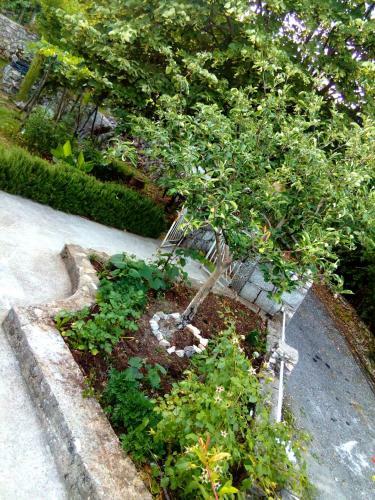 Country House "lipa" Komarno