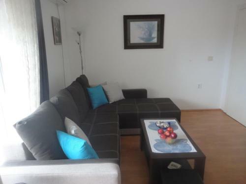 Apartment Branka