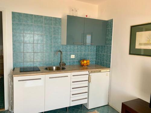 Apartment Branka