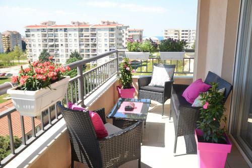 Pure Apartment
