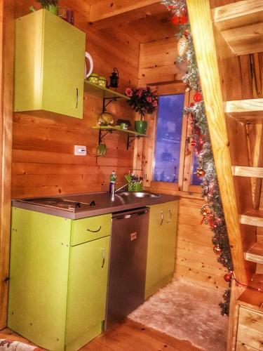 Lodge Brvnara Borovik