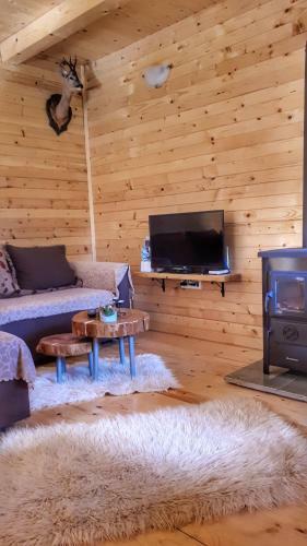 Lodge Brvnara Borovik