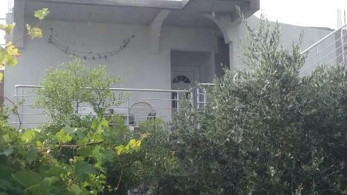 City Apartment Novakovic