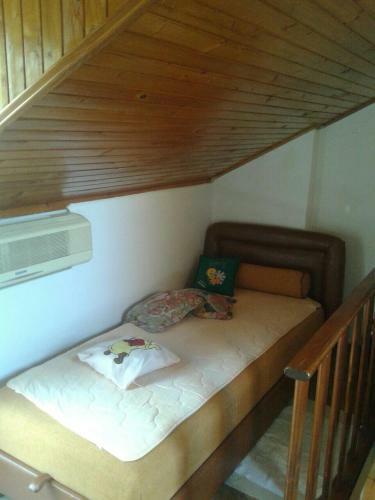 Maxim Apartment