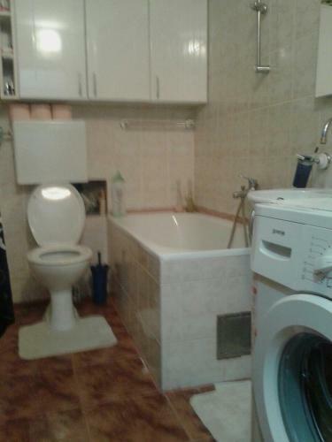 Maxim Apartment