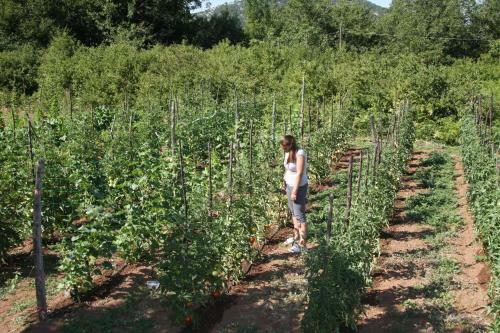 Agroturismo Vr?ina Farm House