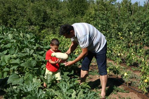 Agroturismo Vr?ina Farm House