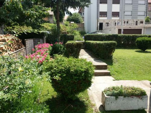 Apartman Koki