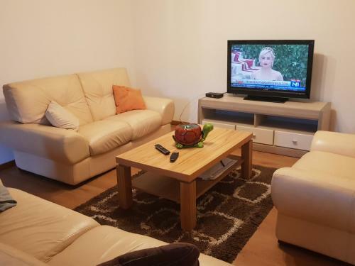 Apartman Mini?