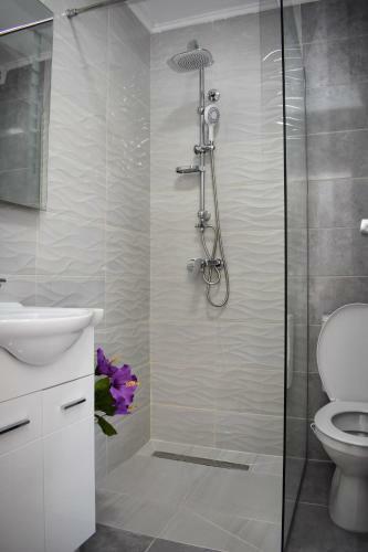Apartmani Ognjanovic Kotor
