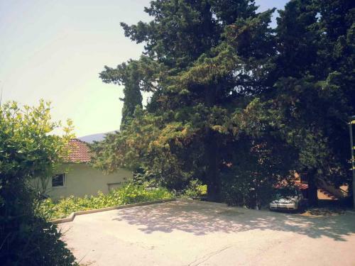Apartmani Stefanovic