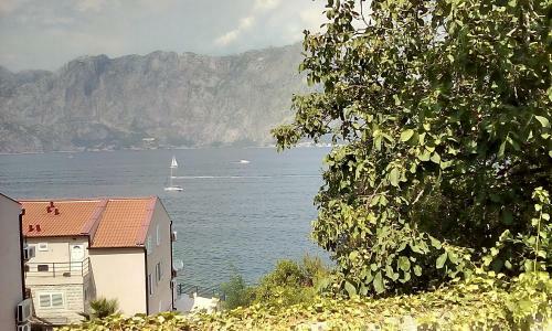 Villa Elizabet