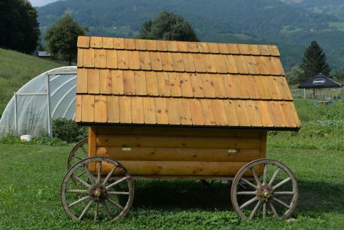 Camp Rabrenovi?