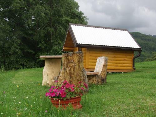 Camp Rabrenovi?