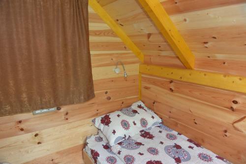 Camp Rabrenovi?