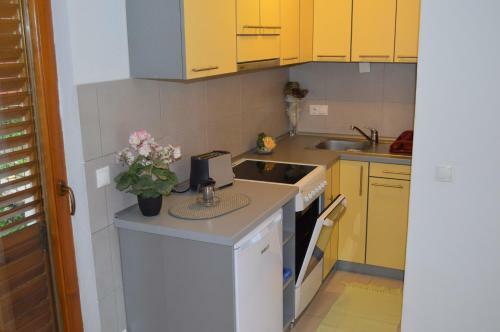 Apartment Aleksandar
