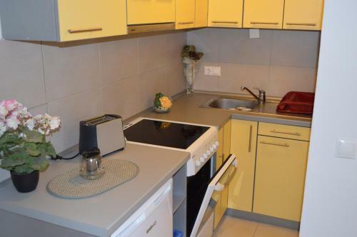 Apartment Aleksandar