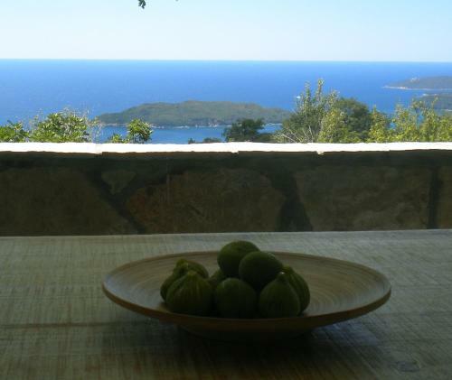 Holiday Home Mulberry Tree