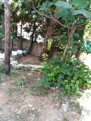 Hostal Guest House Lav