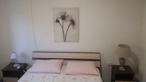 Hostal Apartman Vesna