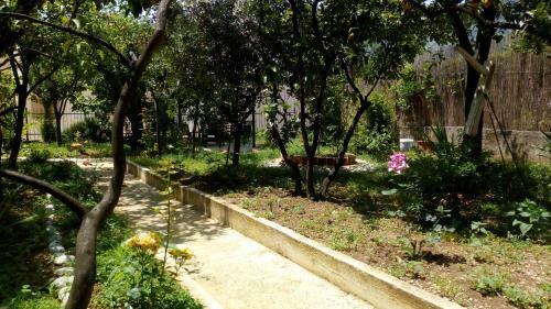 Apartamento Tea
