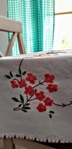 Apartmani Herceg-plu?ine