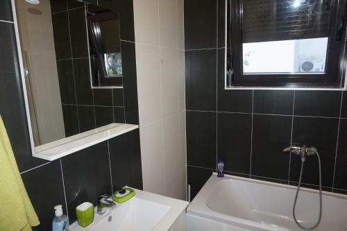 Apartments Minja Nerin