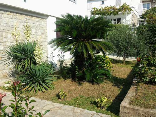 Apartamento Guest House Djonovic