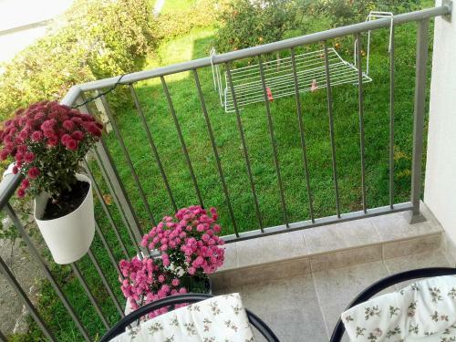 Apartamento Guest House Djonovic