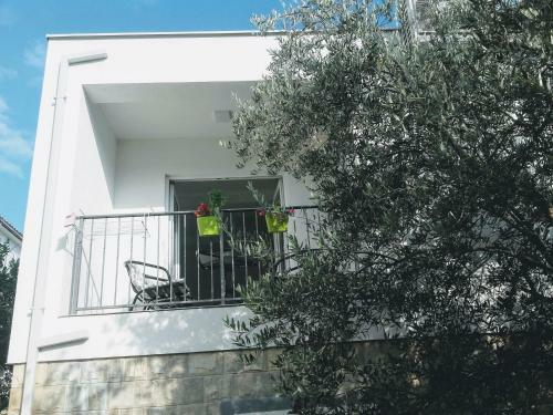 Apartamento Guest House Djonovic