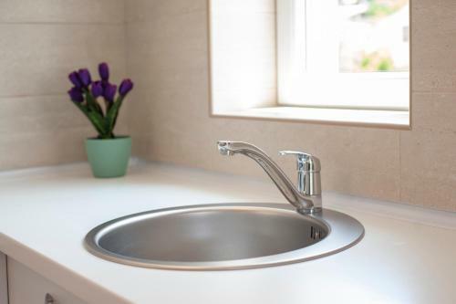 Apartamento Guest House Djonovic