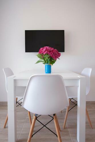 Apartamento Guest House Djonovic