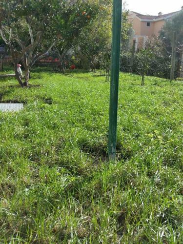 Apartamento Guest House Djonovic